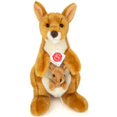 Kangaroo And Joey