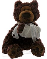 Teddy Bear With Broken Arm