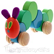 Baby Pull Toys