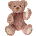 Wistful Pink Teddy Bear