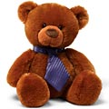 Fathers Day Teddy Bear