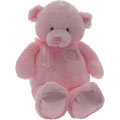 First Pink Baby Bear by Baby Gund
