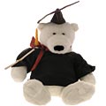 Character Bears - Graduate Teddy Bear