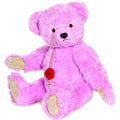 Teddy Bear Hyazintha
