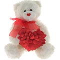 Valentine Rose Petals Bear