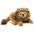 Roary Lion