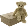 Histoire d'Ours - Scruffy Teddy Bear