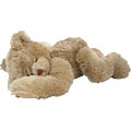 Snoozer Sleeping Teddy Bear