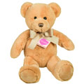 Small Teddy Bear Humphry