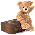 Bear in Suitcase